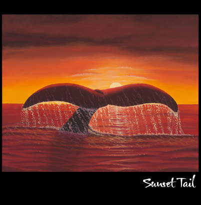 Whale Tail