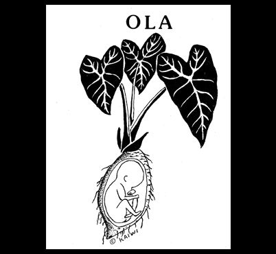 Ola