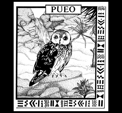 Pueo