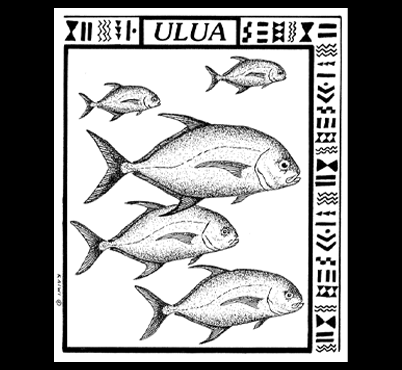 Ulua